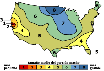 Sparrow size distribution map