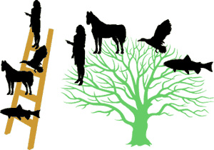 ladder vs. tree analogy
