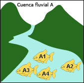 River Basin A