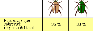 How to determine fitness in our beetle population
