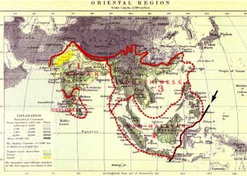 Wallace's Oriental region