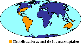 marsupial distribution worldwide