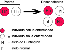 Inheritance of Huntington's allele